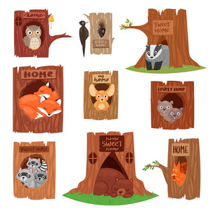 在树中空的孔插图集鸟猫头鹰或鸟在树梢和松鼠熊或狐狸在 hollowtree