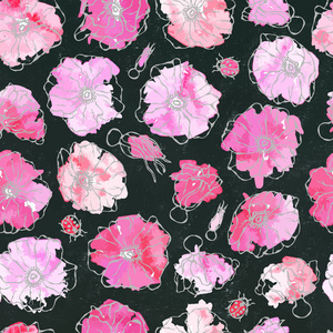 黑板背景。无缝图案水彩野玫瑰粉红色花。狗玫瑰, 荆棘叶。植物学画。实际手绘插图。Savoyar 涂鸦风格