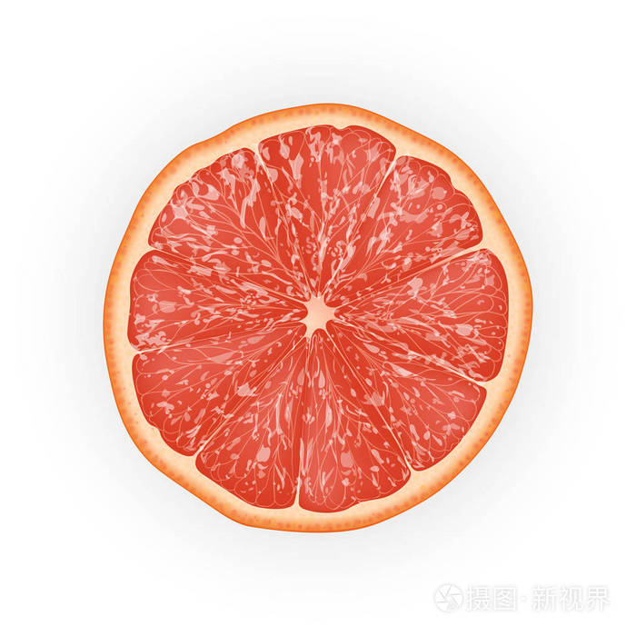 切片柚子的真实三维矢量插图。 五颜六色的柑橘。 适合包装设计和广告。 每股收益10。