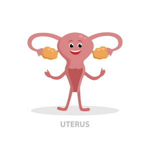 快乐的子宫卡通人物矢量平插图在白色背景下隔离.