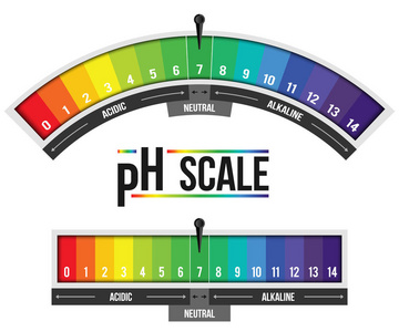 创造性矢量插图的pH标度值隔离在背景上。 化学艺术设计信息图表。 抽象概念图形石蕊纸元素。