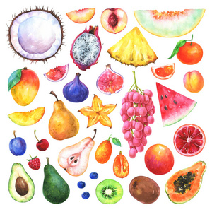手绘水果套装。 水彩画收集樱桃，柑桔，覆盆子，油桃，甜瓜，葡萄，椰子，无花果，梨和其他分离在白色背景上