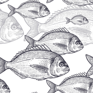 白色背景上的黑鱼. 复古雕刻艺术. 手绘素描.