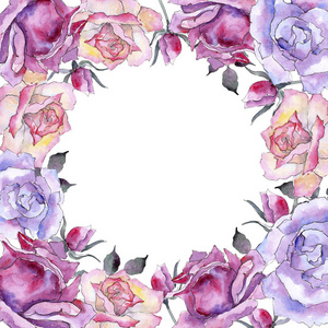 粉红玫瑰。 花卉植物花。 框架边框装饰广场。 背景纹理包装图案框架或边框的水花野花。