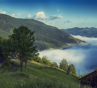 薄雾景观中美丽的雾山的壮丽景色。 戏剧性的不寻常的场景。 旅行背景。 探索美丽的世界。 喀尔巴阡山。 乌克兰。 欧洲。