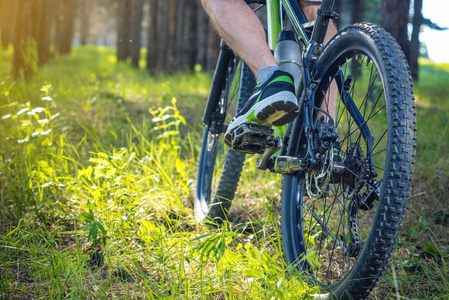 骑着绿色的山地自行车在树林里骑在草地上。 底部和背面的视图。 积极和极端生活方式的概念