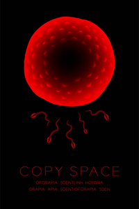 显微镜X射线受精问题密切垂直设置，精子和卵子红色插图孤立发光在黑暗背景，与复制空间