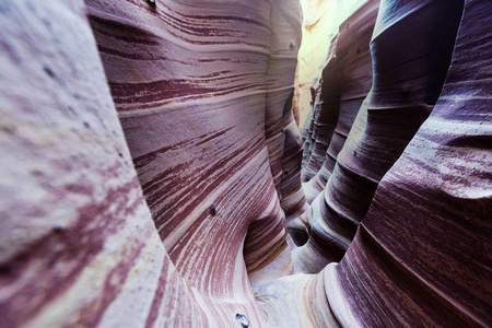 槽峡谷在大楼梯埃斯卡兰特国家公园犹他州。 犹他州沙漠中不寻常的彩色砂岩地层是徒步旅行者的热门目的地。