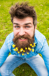 快乐的脸上的嬉皮士坐在离焦的草地上。 有胡子的人喜欢春天绿色的草地背景。 有较小的雪兰花的家伙在胡须上自拍照片。 胡子花束的概念