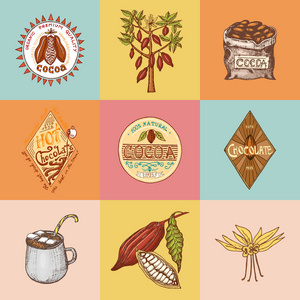 可可豆和热巧克力徽标。现代老式徽章的商店菜单。种植园的果实种子。框架标签的书法风格。农产品。刻在老素描画的手