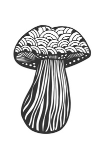 萨满的白蘑菇图片