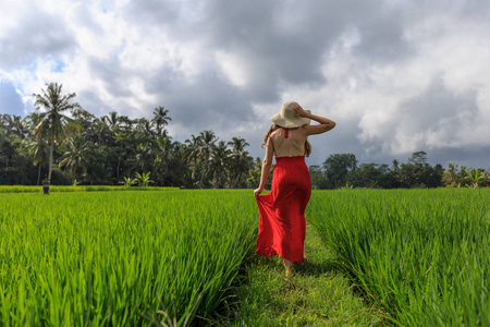 女孩步行在典型的亚洲山坡与水稻耕种, 山形状绿色梯级稻田梯田稻田.