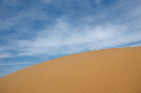 沙泉草原。 蓝天背景上的树木和沙子。 哈萨克斯坦的草原