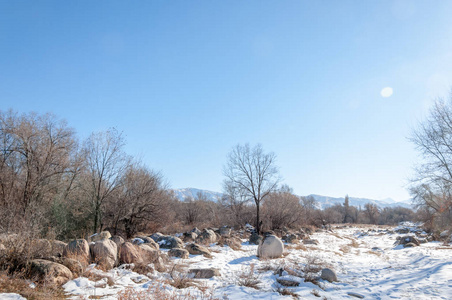 去年春天雪温暖深情的太阳