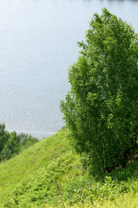 夏天的河流。 高高的岩石。 蓝天。 美丽的风景