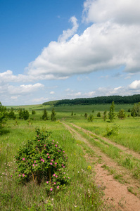 夏日乡村之路。 日落时山上的乡村道路。 蓝天背景下的乡村道路