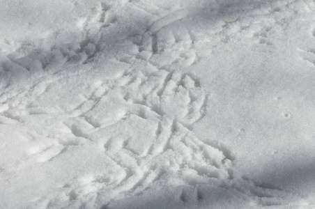 背景冬季摄影。 白色的雪蓬松在空中旋风和静静地倒在地上。 4.现在他已经到了世上，一切都得到了保护，他不怕霜冻的祸害