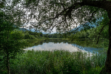 夏日的山景