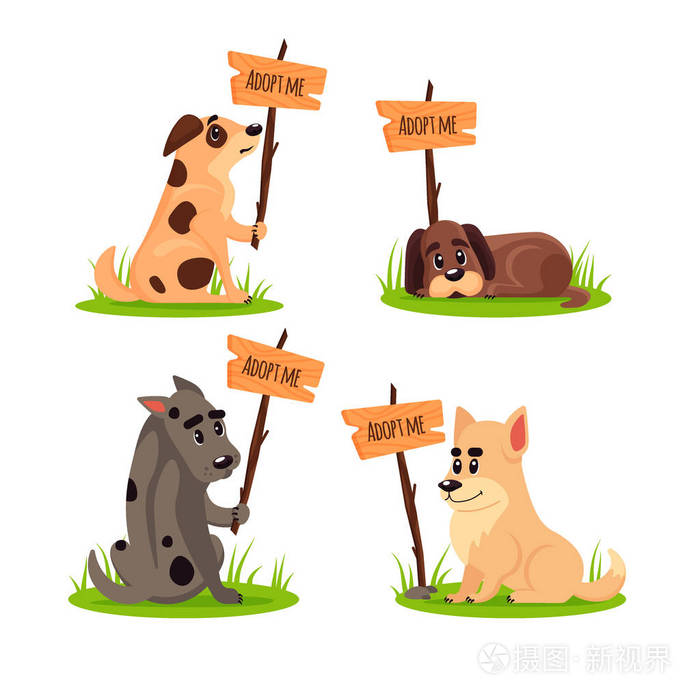 一组坐着无家可归的狗带着海报收养我不要买帮助无家可归的动物找到一