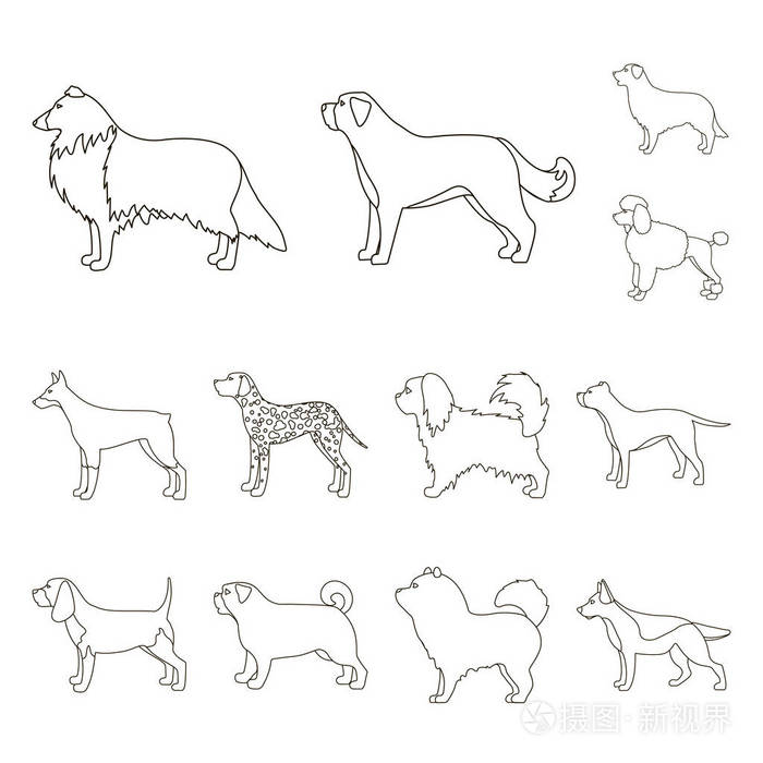 狗宠物矢量符号股票网页插图插画-正版商用图片127qov-摄图新视界