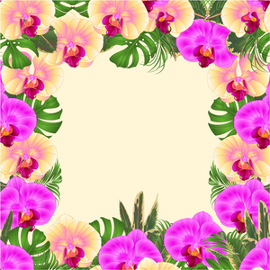 花架花束与热带花卉花安排与美丽的黄色和紫色兰花，棕榈杜鹃，复古矢量插图可编辑手绘