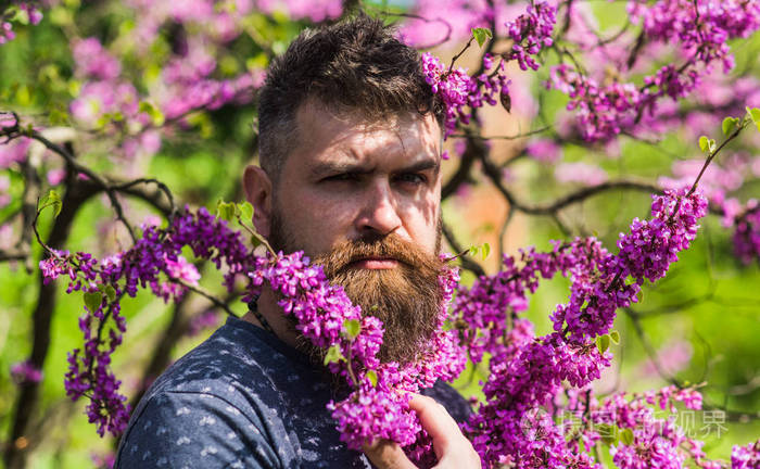 下载小样发票合同问题/举报在粉红色的花朵附近, 有胡子和胡子的男人