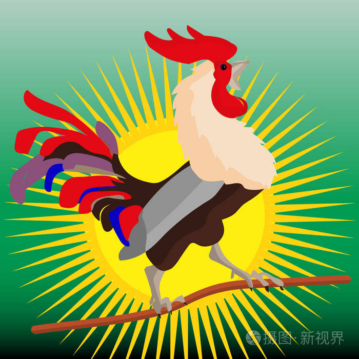 五颜六色的美丽公鸡在篱笆上尖叫日出卡通绿色背景矢量