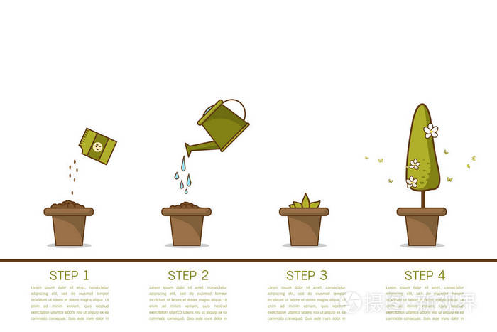 生长的植物阶段 种子浇水可以发芽生长植物 花盆里的房子植物 线式平面矢量插图的房子植物与叶子在锅 细线 成长过程 插画 正版商用图片128b 摄图新视界