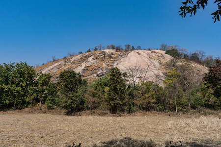 除了石山，有几棵森林树，在夏天的晴天看起来很棒。