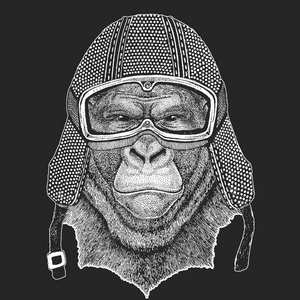 大猩猩猴子猿老式摩托车 hemlet。复古风格插图与动物骑自行车的儿童, 童装, t恤衫。时尚印刷与酷字符。速度和自由