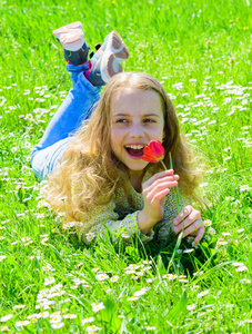 女孩长头发躺在草地, 草的背景。孩子躺在草地上, 喜欢郁金香的香味。春天的心情概念。女孩在微笑的面孔举行红色郁金香花在晴朗的春天