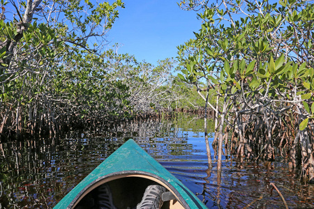 s bay trail