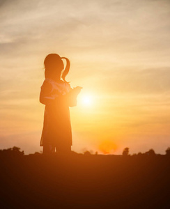 s joy. On the Nature sunset