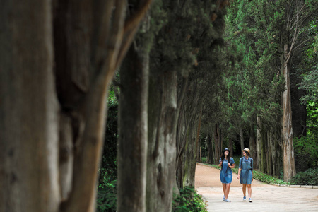 两个穿着牛仔裤和帽子的年轻美丽的黑发女孩走在公园的路上, 树很高
