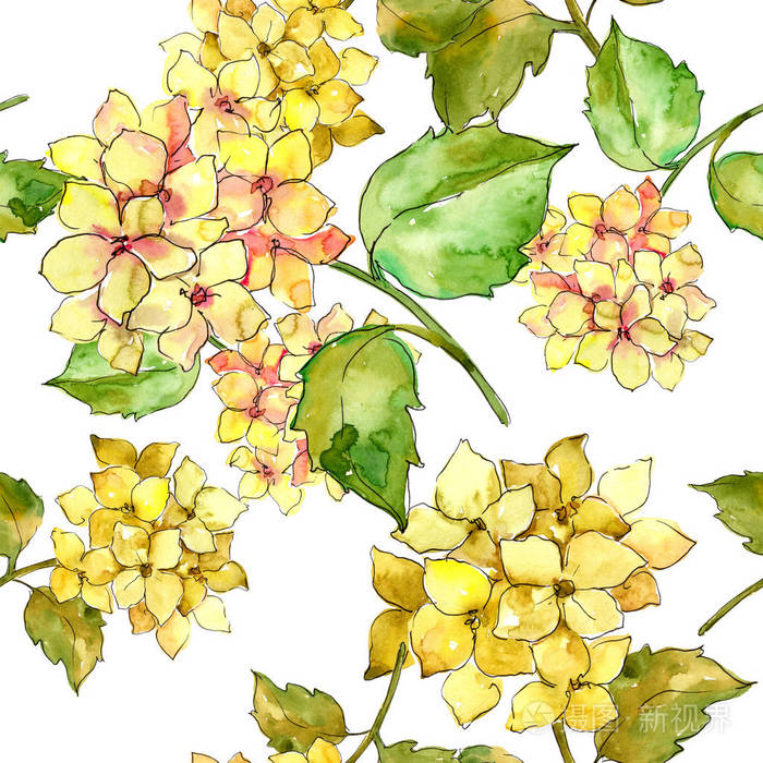 五颜六色的绣球花在水彩风格. 无缝背景图案. 植物的全名:绣球花.