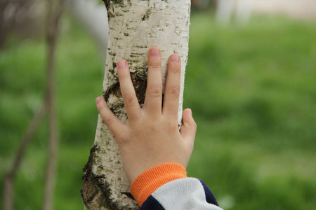 s hand on the birch. The boy39