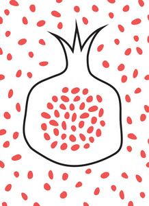 抽象石榴卡片.石榴设计多汁新鲜水果图标与种子背景.矢量模板照片