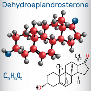 脱氢表雄酮DHEA雄甾酮内源性类固醇激素结构化学公式和分子模型。 矢量插图