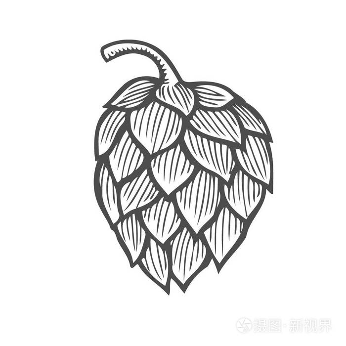 白色背景下孤立的手插画-正版商用图片12a4w6-摄图新视界