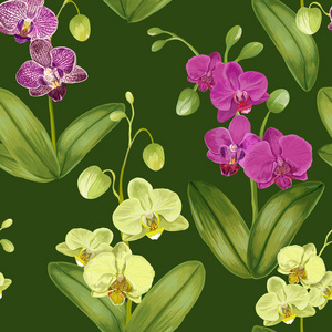 带兰花的无缝热带图案。 织物纺织壁纸包装的花卉背景。 水彩花卉设计。 矢量插图