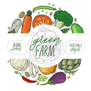 矢量大套蔬菜的写实素描风格。 健康食品天然产品蔬菜农场纯素食品运动营养。 老式插图。