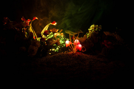 神秘黑暗森林中的三个幻想发光蘑菇近在咫尺。 美丽的宏观拍摄魔术蘑菇或三个灵魂迷失在化身森林。 仙女灯在背景上有雾。 选择性聚焦