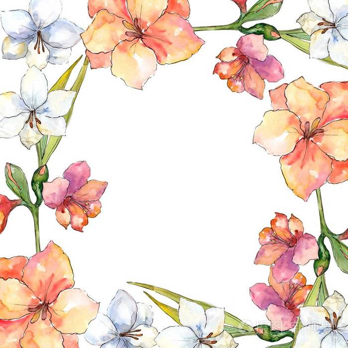 花卉植物花. 框架边框装饰广场.