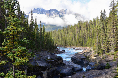 加拿大小河流峡谷，由山脉和树木组成
