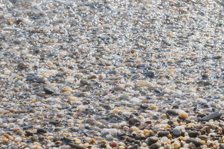 夏天海边的海石