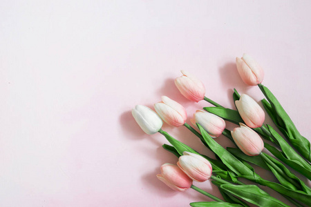 动漫图片淡粉图片