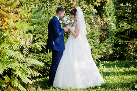 年轻快乐的新婚夫妇在花园或公园里户外摆姿势。