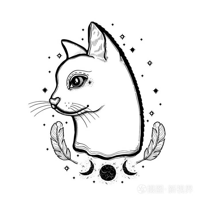 素描图形插图猫与神秘和神秘的手绘符号 矢量图 占星术和深奥的概念 老式的手与旧的时尚纹身 黑白的插画 正版商用图片12b2fo 摄图新视界