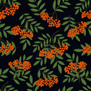 无缝图案与罗旺莓树枝。 秋天的背景，浆果和叶子。 可用于网站包装礼品织物壁纸。 矢量图。