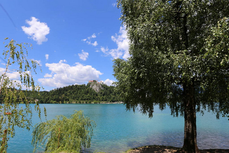 在斯洛文尼亚的特里格拉夫国家公园里阿尔卑斯山脚下的一个山湖的岸边